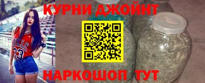 гидра Кинель
