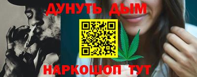 гидра Кинель