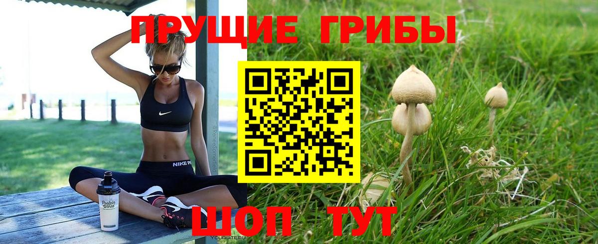 Крымск  Галлюциногенные грибы Magic Shrooms  Вход с VPN  Псилоцибиновые грибы Psilocybe 