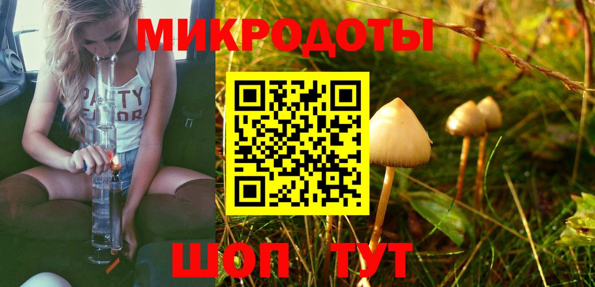 Псилоцибиновые грибы мицелий Крымск